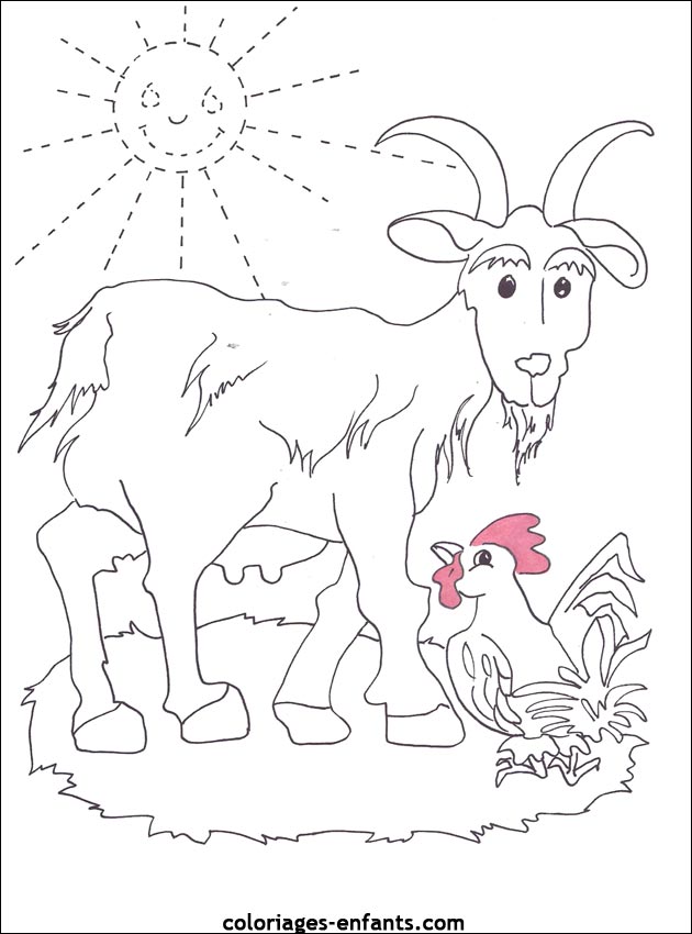 coloriage d'animaux  imprimer pour les enfants
