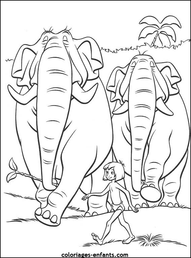 coloriage d'lphant - dessin  colorier d'animaux