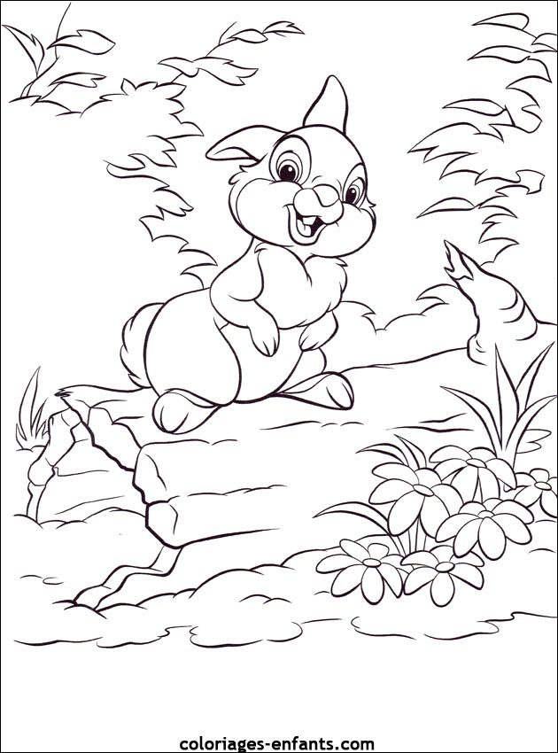 coloriage d'animaux - dessin de lapin à imprimer