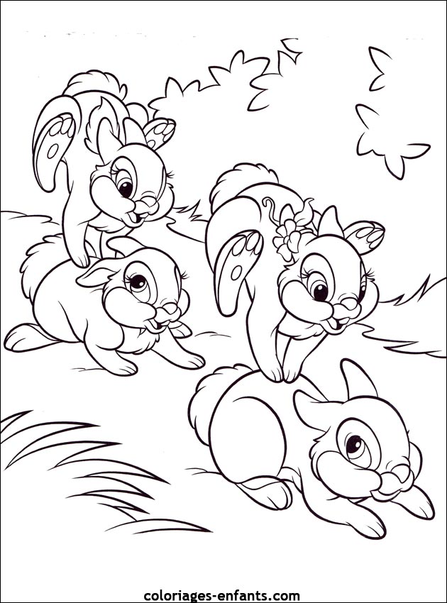 coloriage d'animaux - dessin de lapin à imprimer