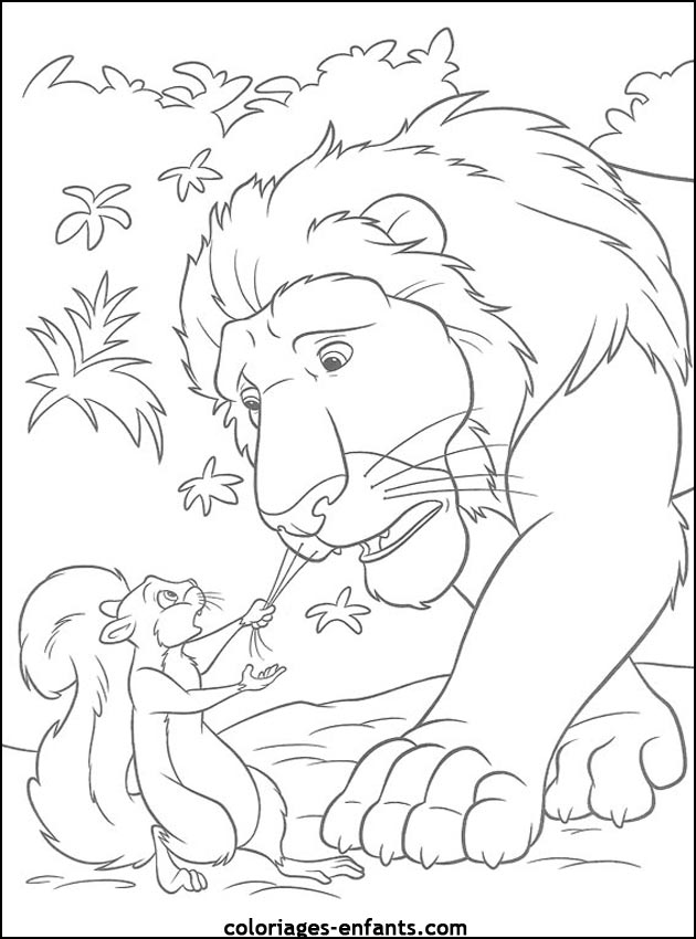 Coloriages de lions