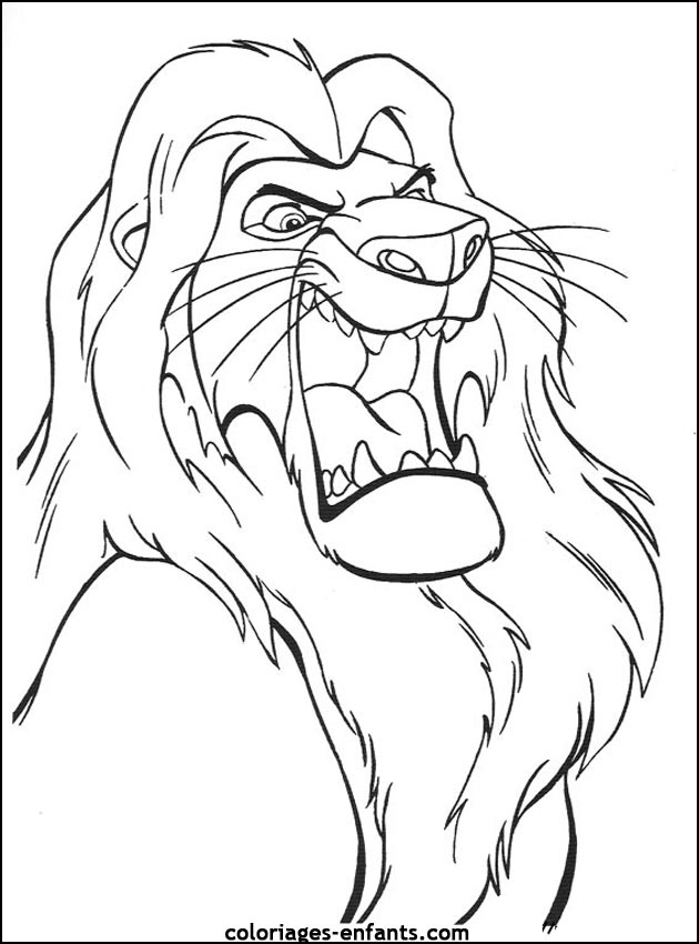 Coloriages de lions