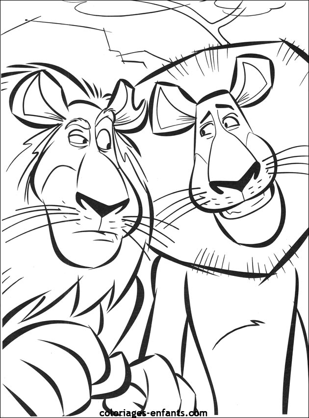 Coloriages de lions