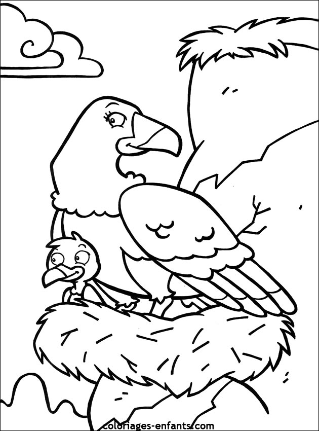 coloriage d'oiseaux - dessin  colorier d'animaux