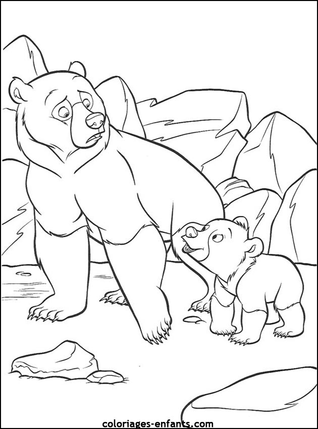 coloriage d'animaux - dessin d'ours  imprimer pour les enfants