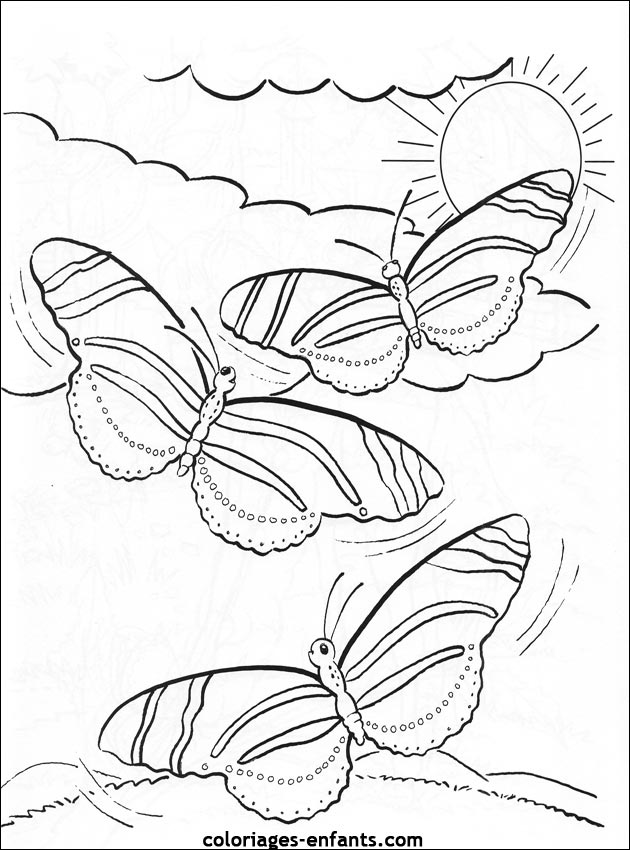 coloriage de papillons sur coloriages-enfants.com