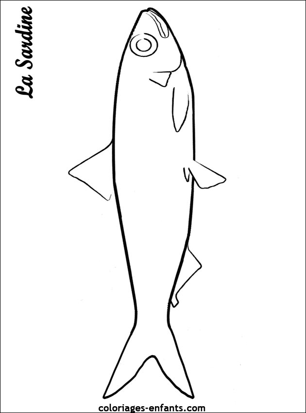 coloriage de poisson - dessin d'animaux  imprimer pour enfant