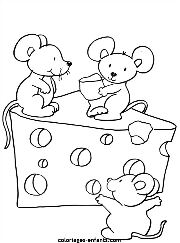 coloriage de souris - dessin d'animaux  colorier