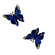 gifs animés de papillons