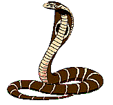 gifs animés de serpents