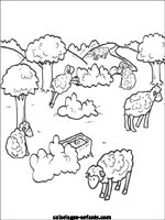 Jeux de moutons