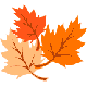 coloriages de feuilles