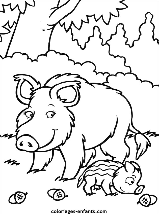 coloriage de cochon pour les enfants