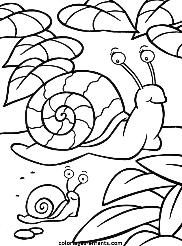 coloriage d'escargots sur coloriages-enfants.com