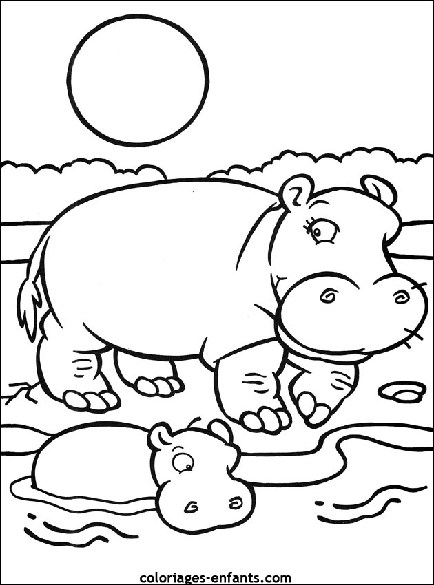 coloriage d'hippopotame pour les enfants