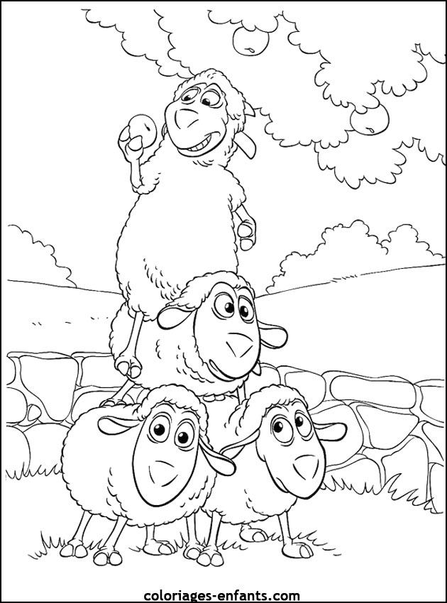coloriage de mouton -  coloriages d'animaux