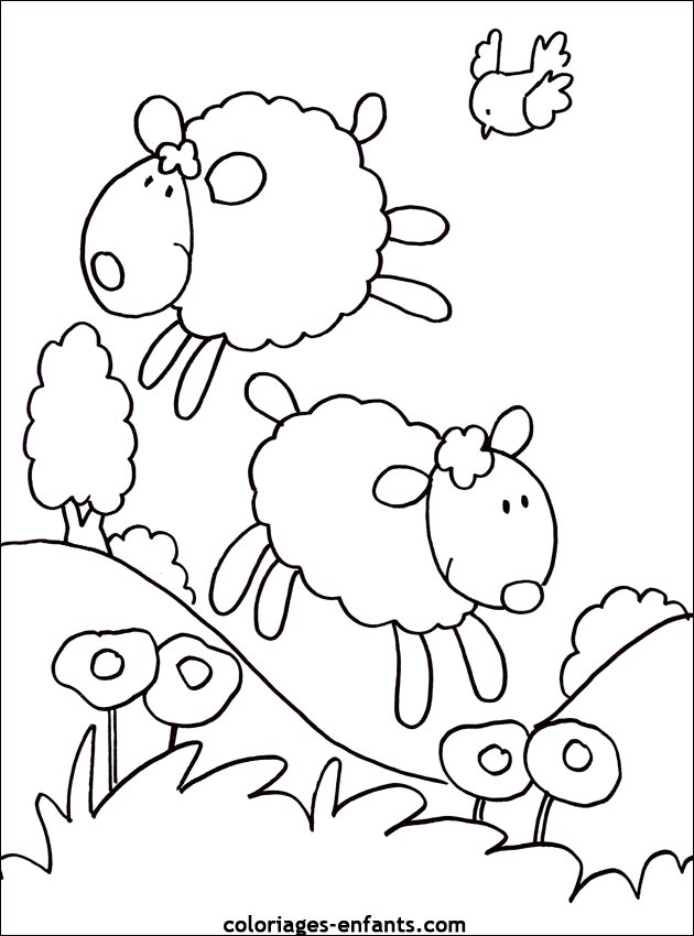 coloriage d'animaux - dessin de mouton à colorier