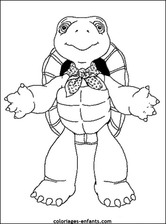 coloriage de tortues - dessins d'animaux  imprimer