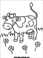 Coloriages de vaches