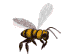 images animées d'abeilles