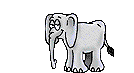Images animées d'éléphants