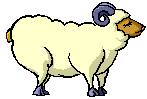 gifs animés de moutons