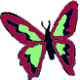 Coloriages de papillons